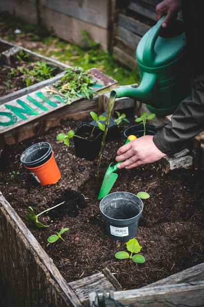 Sustainable Living Through Urban Farming