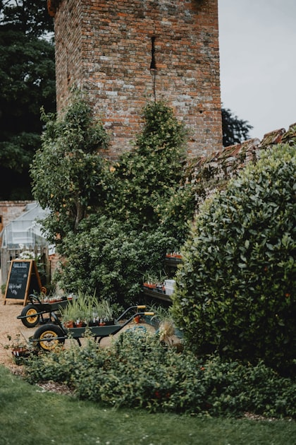Workshops for Gardening Enthusiasts